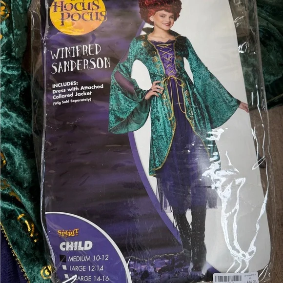 Hocus Pocus Winnifred  child costume size medium 10/12. Disney’s Hocus Pocus. - Picture 2 of 6